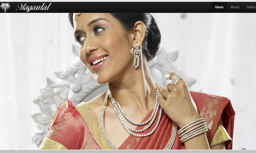 web application developer karaikudi